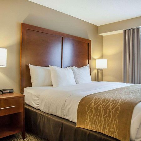 Comfort Inn & Suites Sturbridge-Brimfield Екстериор снимка