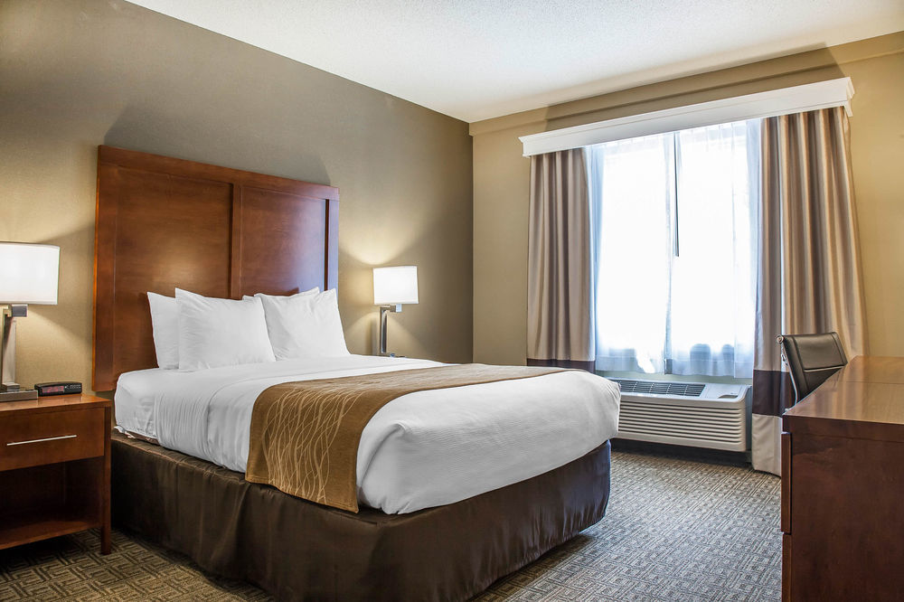 Comfort Inn & Suites Sturbridge-Brimfield Екстериор снимка